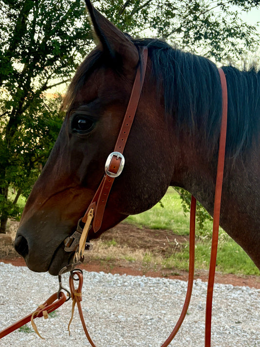 Harness Split Ear Headstall