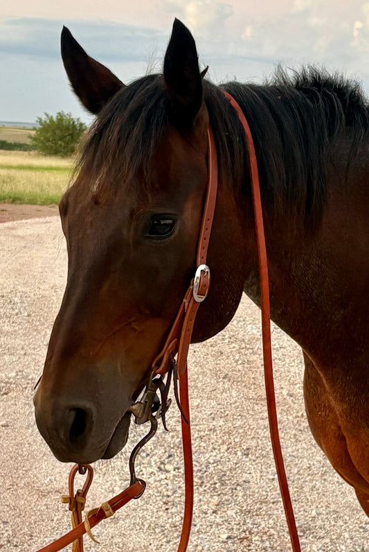 Harness String Ear Headstall