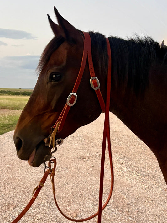 Harness Split Ear with Throat Latch