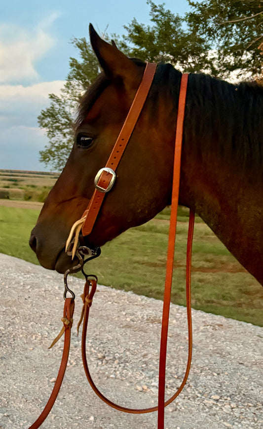 1” Harness Split Ear Headstall