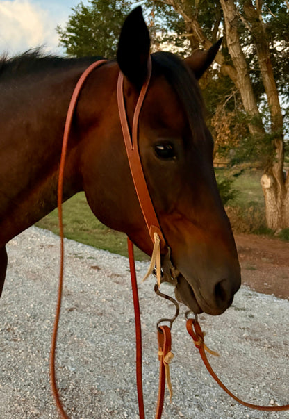 1” Harness Split Ear Headstall